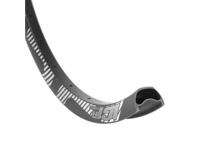 LG1 Race Carbon Rim | Downhill | 29\ x 30mm | 32h | Black | Standard Decals"