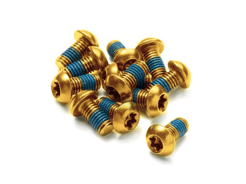 Šrouby na kotouče Reverse Steel M5 x 10 mm, Torx 25, 12 ks Gold